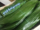 aspidistra - aspidistracooperativa....