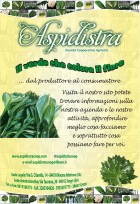 le nostre offerte.... - aspidistracooperativa....