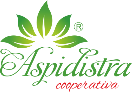 Aspidistracooperativa specializzata nella produzione e vendita di aspidistre - aspidistracooperativa....